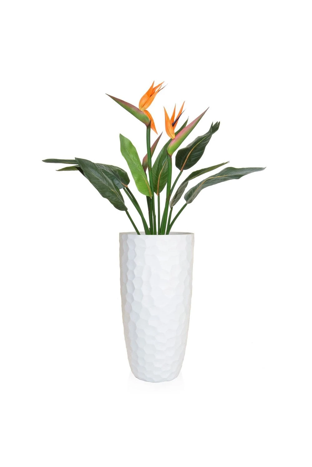 Artificial Bird Of Paradise Flowering Arrangement - White Base 3 Artificial Bird Of Paradise Flowering Arrangement - White Base