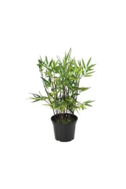 Artificial Black Stem Bamboo Mini Bush