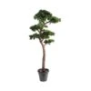 Artificial Bonsai Pine Tree UV Resistant -Artificial Plant Shop the artificial plants shop artificial bonsai pine tree uv resistant p465 1052 image