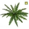 Artificial Boston Fern Flame Retardant 36cm