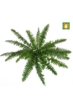 Artificial Boston Fern Flame Retardant 36cm