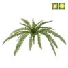 Artificial Boston Fern UV Protected / IFR -Artificial Plant Shop the artificial plants shop artificial boston fern uv protected ifr p459 1034 image