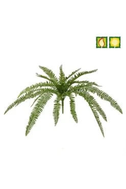 Artificial Boston Fern UV Protected / IFR