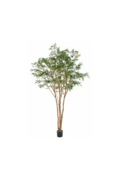 Artificial Bucida Tree 3m