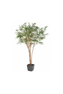 Artificial Bucida Tree 3m -Artificial Plant Shop the artificial plants shop artificial bucida tree 3m p422 959 image