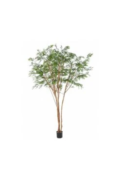 Artificial Bucida Tree 3m -Artificial Plant Shop the artificial plants shop artificial bucida tree 3m p422 960 image
