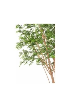 Artificial Bucida Tree 3m -Artificial Plant Shop the artificial plants shop artificial bucida tree 3m p422 961 image
