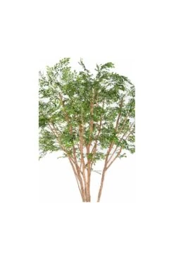 Artificial Bucida Tree 3m -Artificial Plant Shop the artificial plants shop artificial bucida tree 3m p422 962 image