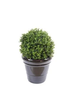 Artificial Buxus Topiary Ball (9 Size Options) -Artificial Plant Shop the artificial plants shop artificial buxus topiary ball 9 size options p15 22 image