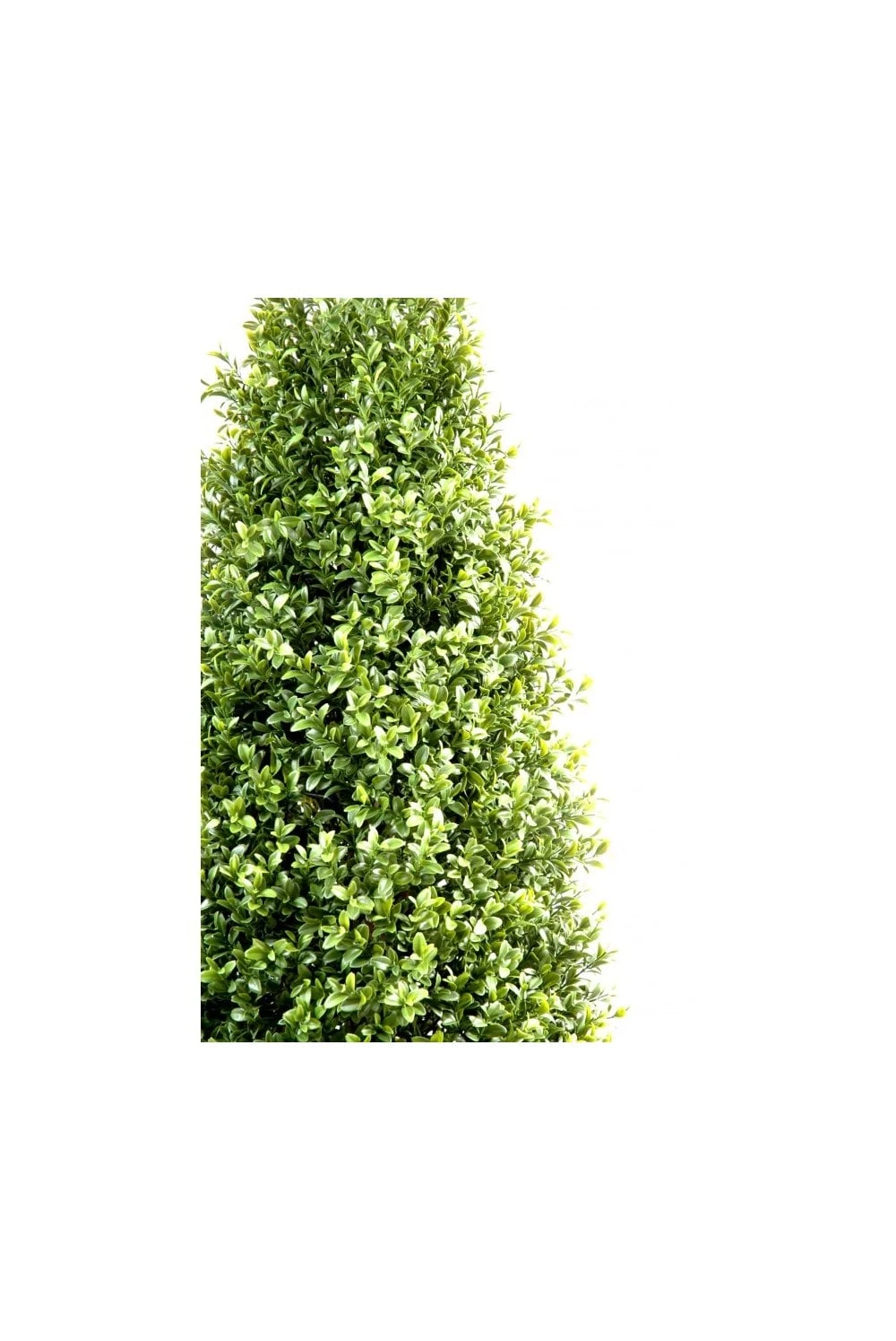 Artificial Buxus Towers 4 Artificial Buxus Towers - Image 2