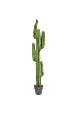 Artificial Cactus In Urn Arrangement