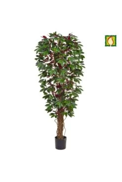 Artificial Capensia Tree - Flame Resistant