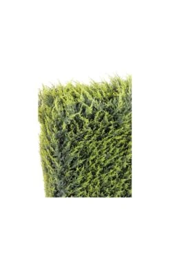 Artificial Cedar Screen Hedge
