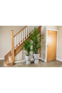 Artificial Chamaedorea Palm 120cm -180cm