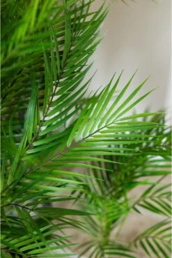 Artificial Chamaedorea Palm 120cm -180cm -Artificial Plant Shop the artificial plants shop artificial chamaedorea palm 120cm 180cm p885 2533 zoom