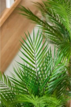Artificial Chamaedorea Palm 120cm -180cm -Artificial Plant Shop the artificial plants shop artificial chamaedorea palm 120cm 180cm p885 2534 zoom