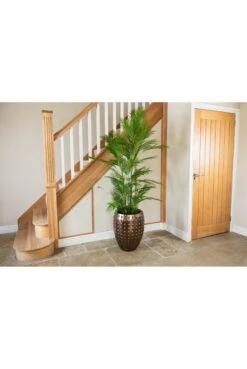 Artificial Chamaedorea Palm 120cm -180cm -Artificial Plant Shop the artificial plants shop artificial chamaedorea palm 120cm 180cm p885 2538 zoom
