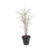 Artificial Cherry Blossom Tree 220cm -Artificial Plant Shop the artificial plants shop artificial cherry blossom tree 220cm p359 808 image