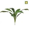 Artificial Cordyline Green - Flame Retardant -Artificial Plant Shop the artificial plants shop artificial cordyline green flame retardant p236 520 image