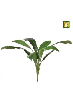 Artificial Cordyline Green - Flame Retardant