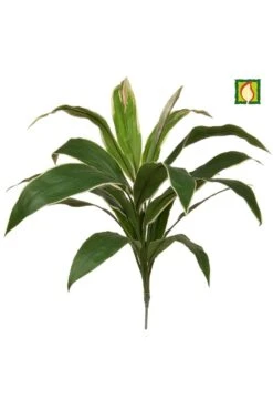 Artificial Cordyline Plant Green