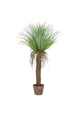Artificial Cycas Palm Arrangement (Brown Pot)