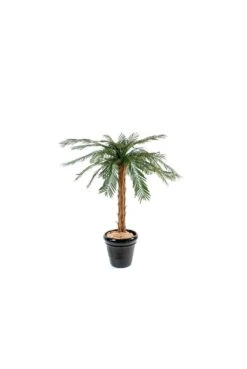Artificial Cycas Palm Tree Single Trunk