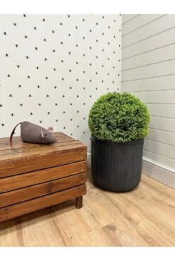 Artificial Cypress Ball -Artificial Plant Shop the artificial plants shop artificial cypress ball p50 2243 image