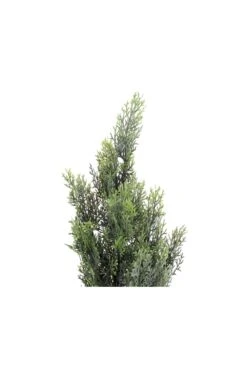 Artificial Cypress Juniper Cone -Artificial Plant Shop the artificial plants shop artificial cypress juniper cone p52 115 image
