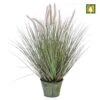 Artificial Dog's Tail Grass Arrangement - Tin Base -Artificial Plant Shop the artificial plants shop artificial dogs tail grass arrangement tin base p352 789 image