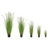 Artificial Dogtail Grass 4 Size Options Flame Retardant 1 Artificial Dogtail Grass 4 Size Options Flame Retardant -Artificial Plant Shop the artificial plants shop artificial dogtail grass 4 size options flame retardant p878 2067 image