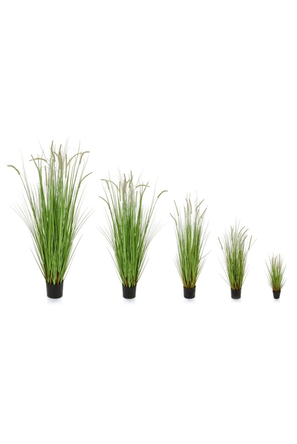 Artificial Dogtail Grass 4 Size Options Flame Retardant 3 Artificial Dogtail Grass 4 Size Options Flame Retardant
