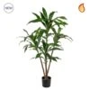 Artificial Dracaena Mini Tree 60cm
