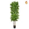 Artificial Dracaena Song Of Jamaica 180cm Flame Retardant