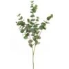 Artificial Eucalyptus Stem 100cm Green -Artificial Plant Shop the artificial plants shop artificial eucalyptus stem 100cm green p640 1515 image