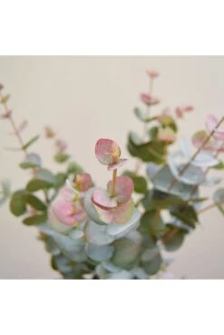 Artificial Eucalyptus Stem Green