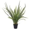 Artificial Fern 54cm -Artificial Plant Shop the artificial plants shop artificial fern 54cm p348 785 image
