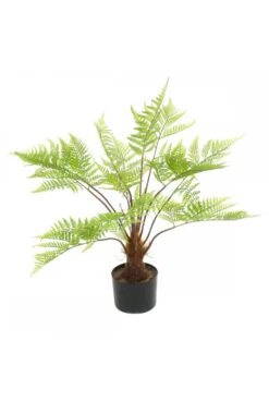 Artificial Fern 80cm 11 Artificial Fern 80cm -Artificial Plant Shop the artificial plants shop artificial fern 80cm p926 2312 image