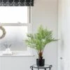 Artificial Fern 80cm -Artificial Plant Shop the artificial plants shop artificial fern 80cm p926 2343 image