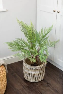 Artificial Fern 80cm 9 Artificial Fern 80cm -Artificial Plant Shop the artificial plants shop artificial fern 80cm p926 2345 image
