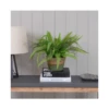 Artificial Fern In Aged Base -Artificial Plant Shop the artificial plants shop artificial fern in aged base p736 1689 image