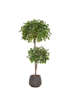 Artificial Ficus Arrangement - Double Ball Tree