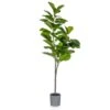 Artificial Ficus Lyrata Arrangement 150cm -Artificial Plant Shop the artificial plants shop artificial ficus lyrata arrangement 150cm p779 1769 image