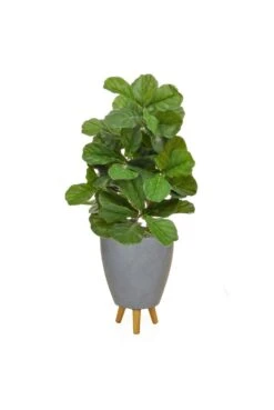 Artificial Ficus Lyrata Arrangement In Footed Planter