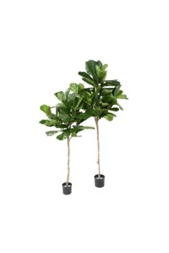 Artificial Ficus Lyrata / Artificial Fig Head Tree