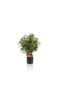 Artificial Ficus Panda Botanic 70cm