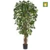 Artificial Ficus Tree Flame Resistant Green ( IFR) -Artificial Plant Shop the artificial plants shop artificial ficus tree flame resistant green ifr p23 67 image