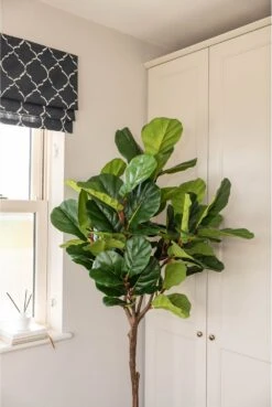 Artificial Ficus Umbrella Tree -Artificial Plant Shop the artificial plants shop artificial ficus umbrella tree p930 2403 image