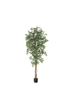 Artificial Ficus Variegated - Budget