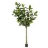 Artificial Fiddle Leaf Tree 300cm -Artificial Plant Shop the artificial plants shop artificial fiddle leaf tree 300cm p496 1151 image